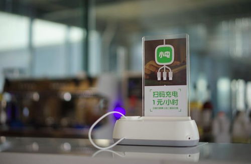 小电科技完成数亿元B轮融资，估值超3亿美元，数字技术服务赛道再添新动力